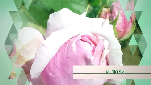 Войди в мой сад... смотреть онлайн