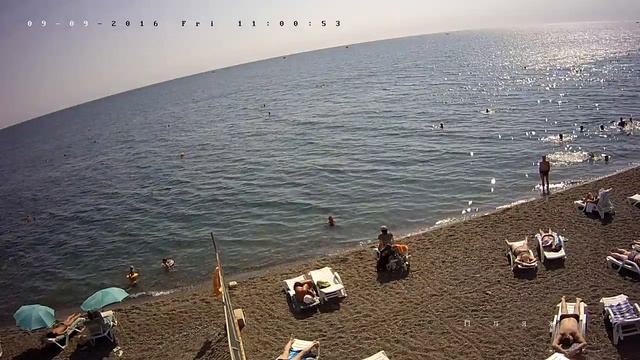 Вебкамера "Пляж Дубны". Запись 09.09.2016 11:00:16 смотреть онлайн