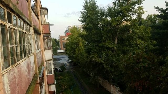 1579, Утренняя видеозарисовка, станция юных натуралистов, ул. Автовокзальная, сосны, рябины, Орёл