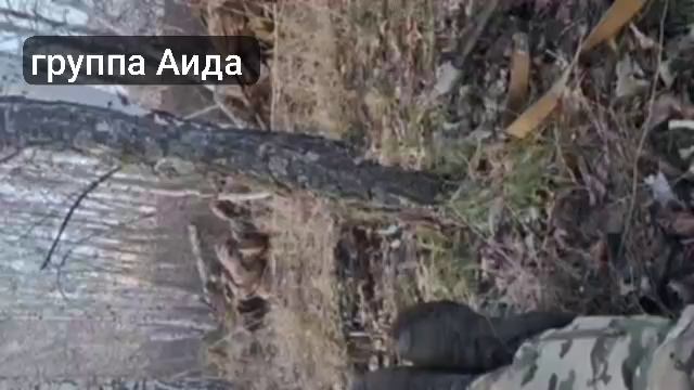 Передышка перед штурмом Демидовки