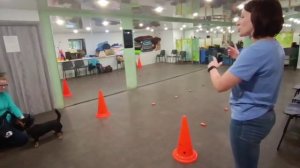 Школа инструкторов CleverDog, ланкаширский хилер