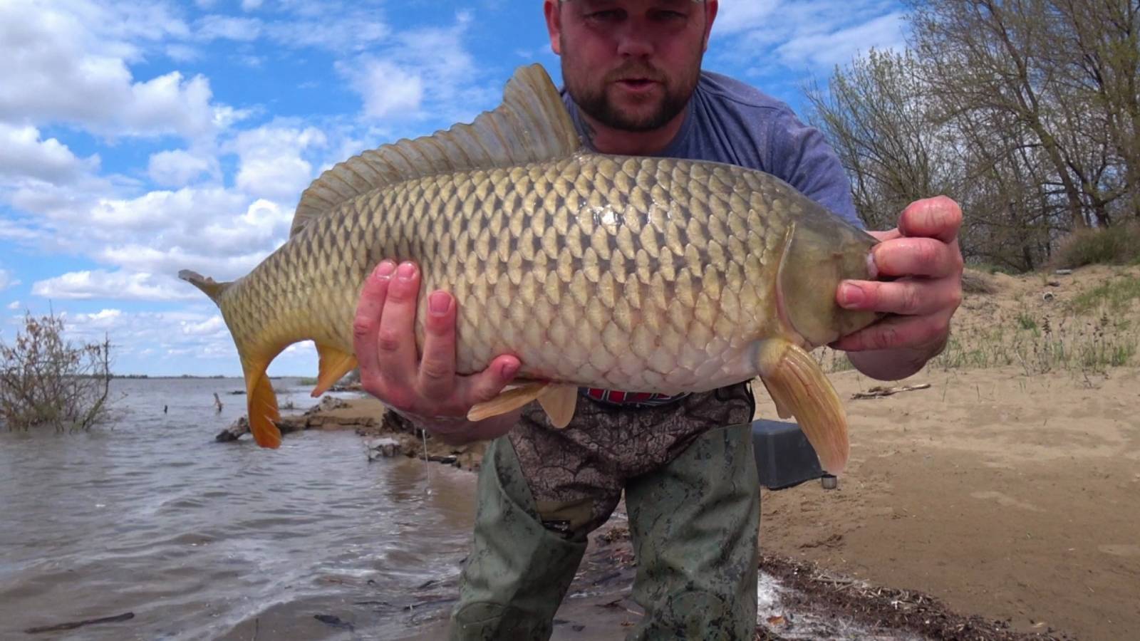 Рыбалка в Астрахани. Ловля судака и сазана на резинку. Коряга ожила.