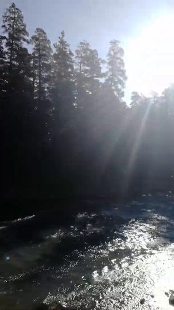 Архыз Горы Воздух Гостиница на берегу горной реки с добрым утром смотреть онлайн