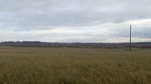 Обзор участка п. Июльское,  Полесский район, Калининградская область
