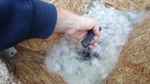 Беглянка и Фëдоровна впервые стали мамами