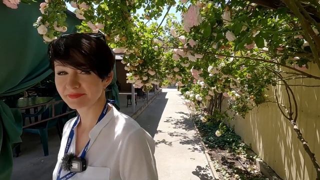 Обзор гостиниц и цен в Благовещенской. Выпуск №2 #анапа #жильеуморя #купитьдом #бизнес #коммерция смотреть онлайн