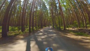 100 КМ ДО ОЗЕРА БЕЗ НИЧЕГО // ДАЛЬНЯК НА ПИТБАЙКАХ С ДРУГОМ