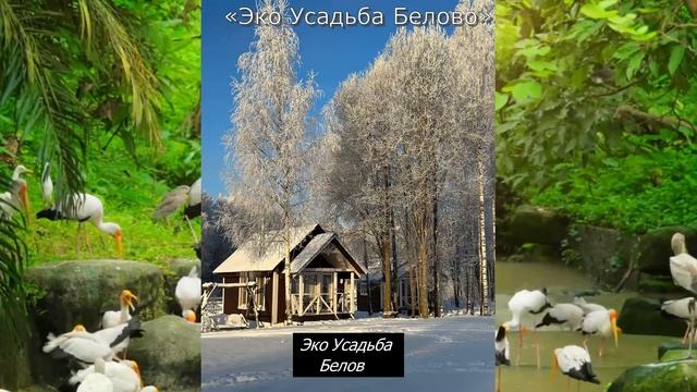 10 баз отдыха в Ленобласти, ради которых хочется бросить все дела!))