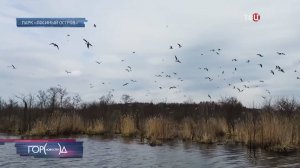 Из-за аномальной московской весны птицы возвращаются домой раньше срока / Город новостей на ТВЦ