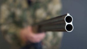 Хотел припугнуть: подробности убийства женщины на детской площадке в Подольске