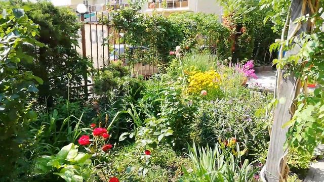 ТЕРРИТОРИЯ ФЛАГМАН 2020 смотреть онлайн