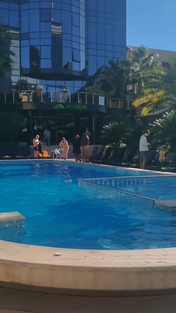 Экодом Адлер 20.10.23 смотреть онлайн