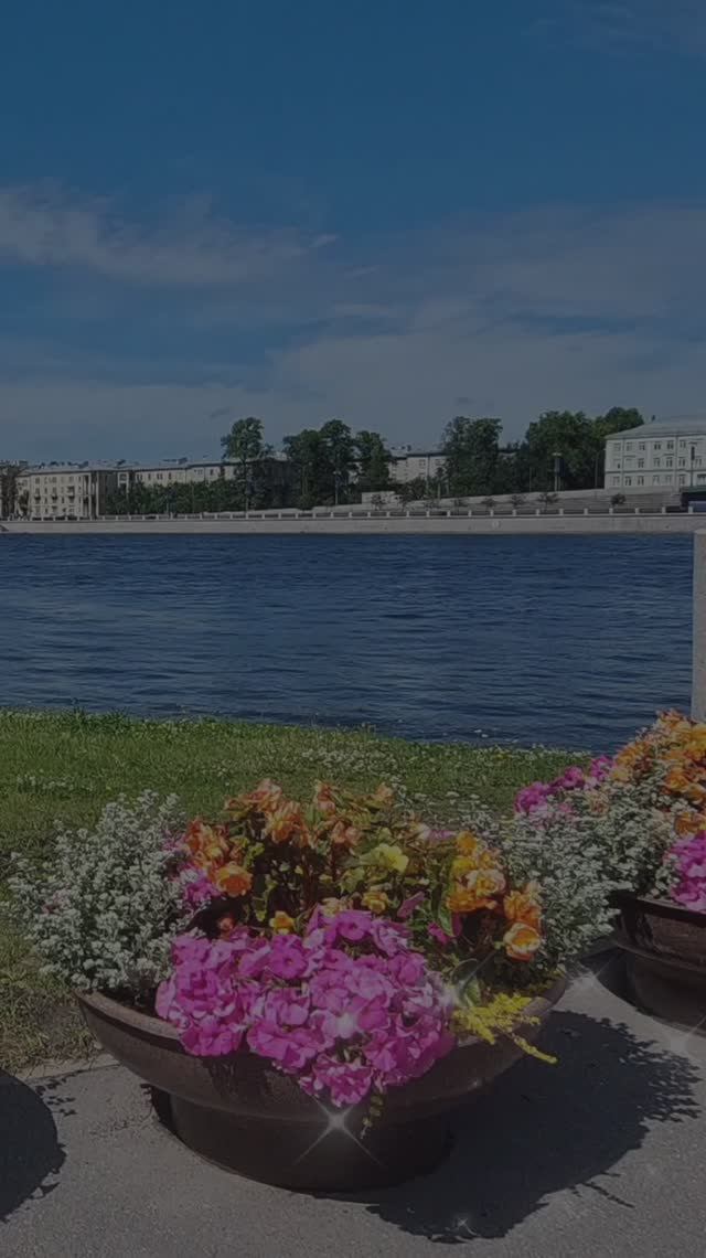 ЭМОЦИИ В ЦВЕТАХ