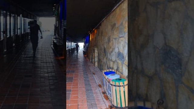 Турция зимой 2024 февраль-март☀️Beach Club Doganay 5 обзор отеля, территории и пляжа ☀️☀️☀️❤️🫶🌍🌎🌏 ✈