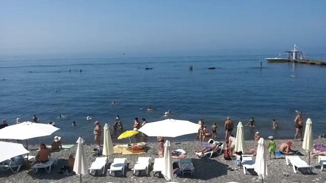 сочи. один из городских пляжей. смотреть онлайн