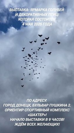Выставка- Ярмарка Донецк ДНР 04.05.25г