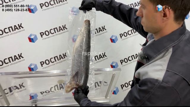 Вакуумная упаковка рыбы Вакуумный упаковщик RVM-F400
