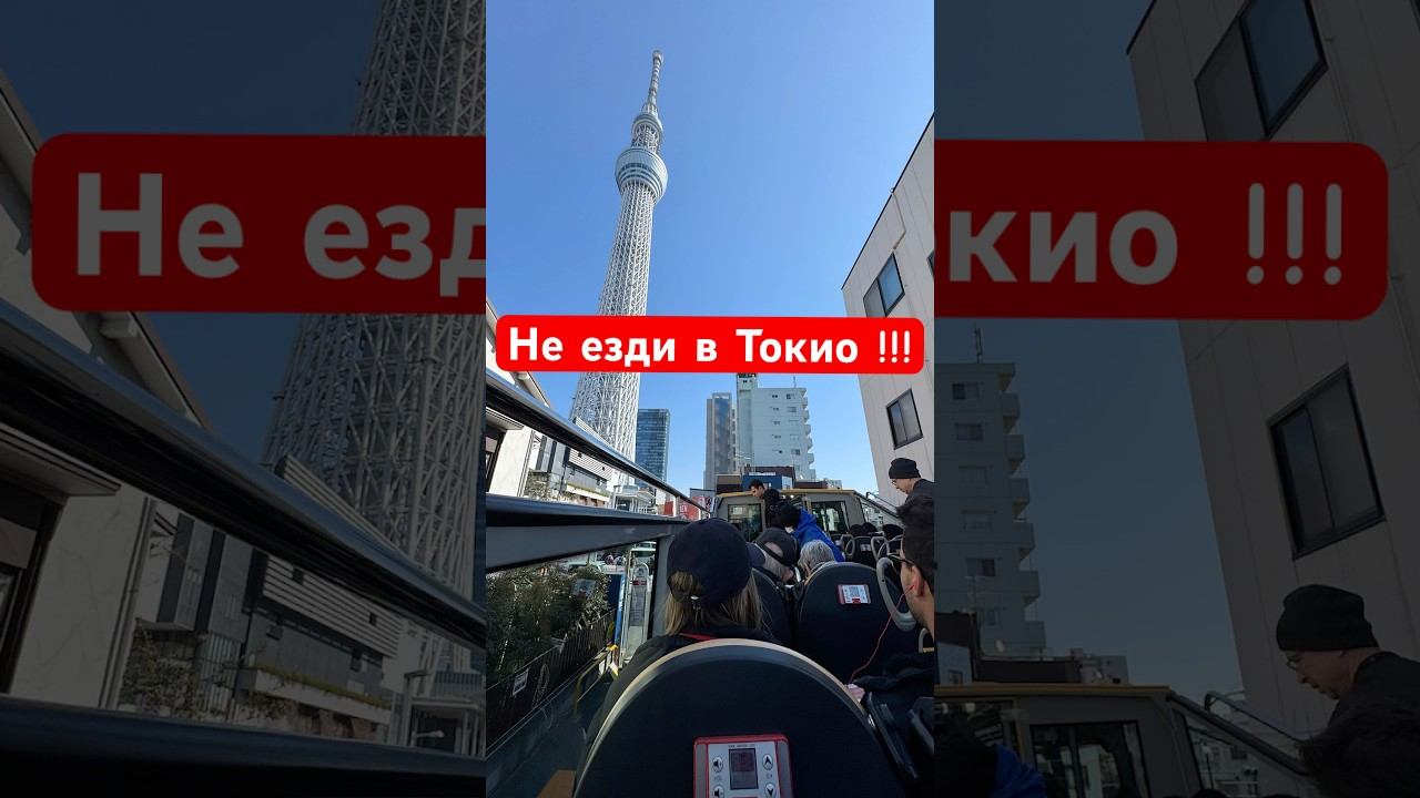 Не езди в Токио! Вызывает привыкание!!! #travel #japan #токио #япония смотреть онлайн