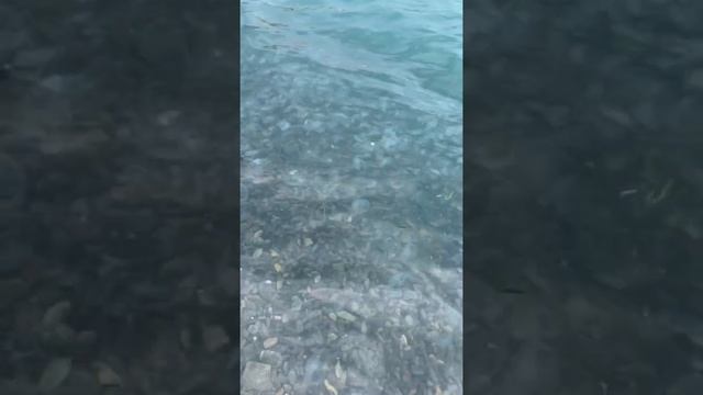 Анапа Большой Утриш - пляж