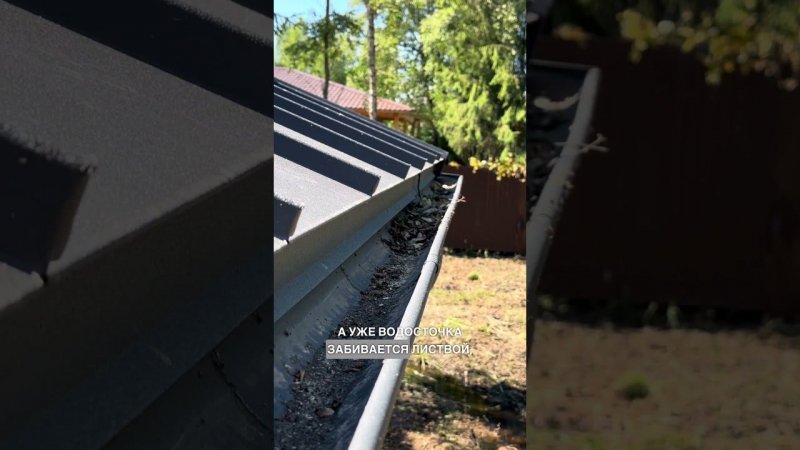 ПЛЮСЫ И МИНУСЫ ЛЕСНОГО УЧАСТКА #строительнаякомпания #стройка #газобетон #участоквдеревне