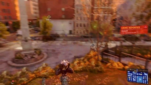 GME ERO Live Stream смотреть онлайн