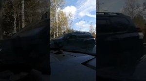 По дороге через деревню Донино Московской области