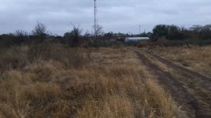 Окраина деревни! Прогулка пасмурным осенним утром!