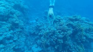 Отель Sunrise remal resort (beach) под водой