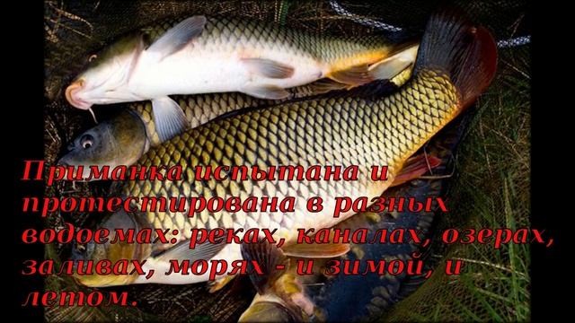 купить приманку для рыбы супер клев