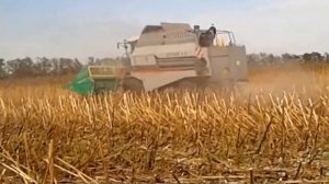 Вектор 410 Жатка НАШ-873  уборка подсолнечника.
