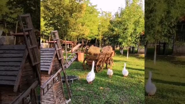 Успей бронируй 89198739181