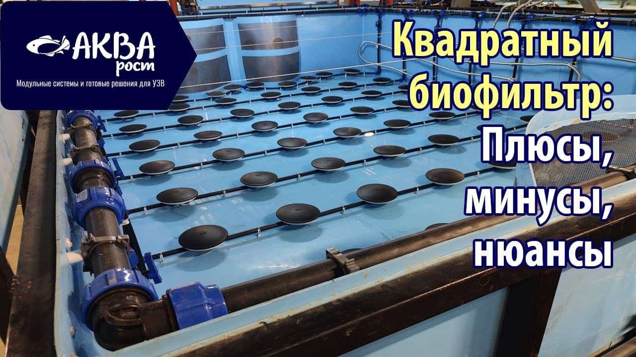 Плюсы и минусы квадратного биофильтра в УЗВ #система #узв #рыба #акварост смотреть онлайн