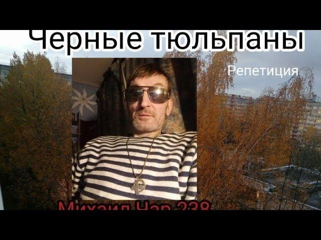 Чёрные тюльпаны
