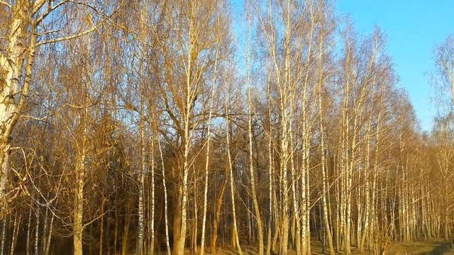 Збраньки, Овручский район, Житомирская область. смотреть онлайн