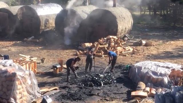 Когда древесный уголь слишком хорошь для торговых сетей :) смотреть онлайн