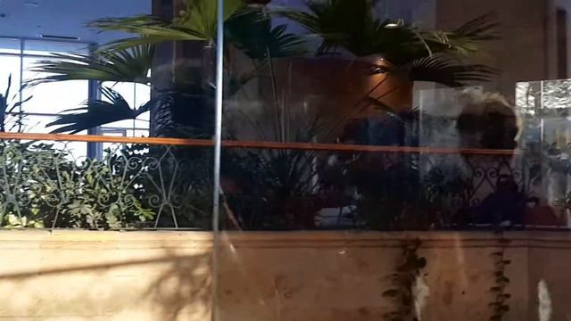 Египет территория отеля Queen Sharm Resort Egypt Beach Hotel Queen Sharm Resort смотреть онлайн