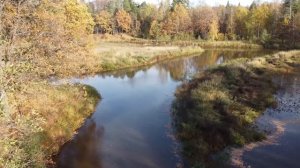 Золотая осень в Подмосковье