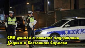 СМИ узнали о попытке задержания Додика в Восточном Сараево