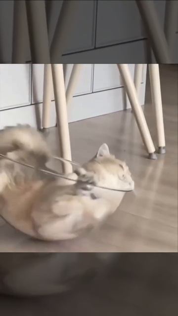 Не забываем про отдых! #гдеотдохнуть #крым #севастополь #глэмпинг #лучшее #travel #топ #лето2024 смотреть онлайн