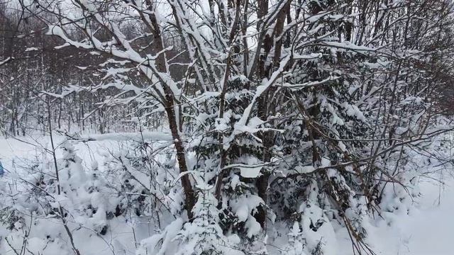 Ночевка в зимнем лесу. Спасли пса смотреть онлайн