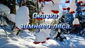 Сказка зимнего леса.
