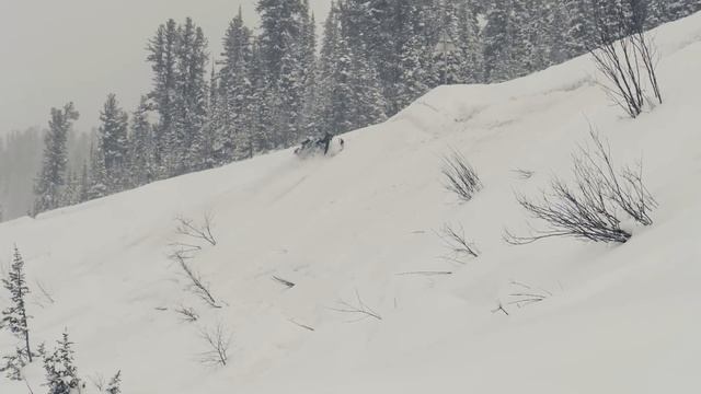сам себе режиссер. ергаки) смотреть онлайн