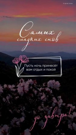 Сладких снов.