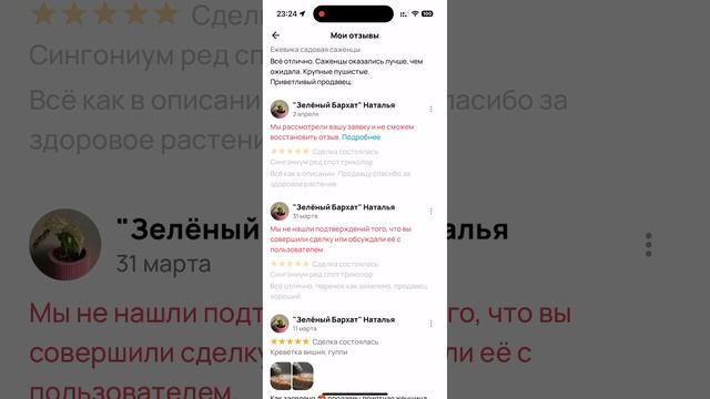 Скрин