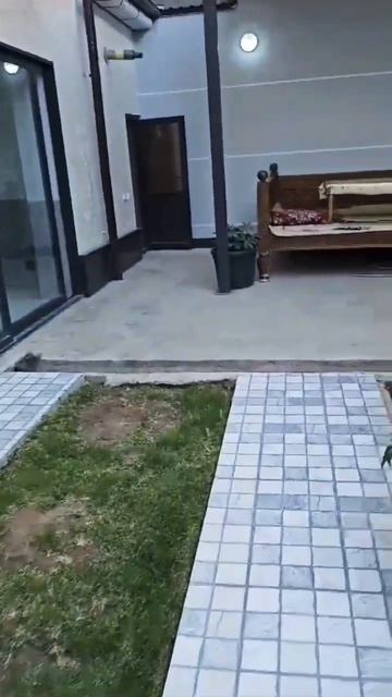 отдых на даче в Узбекистане #отдых #дача #видео #shorts #uzbekistan #tashkent #ташкент #обзор смотреть онлайн