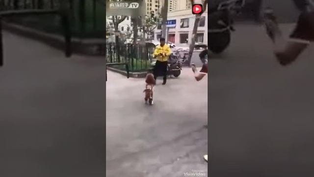 Ферганская долина
