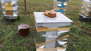 Защита ульев от ветров.