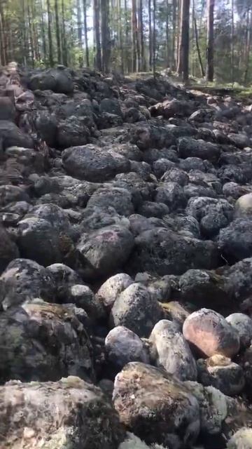 Карелия.,Сортавала смотреть онлайн