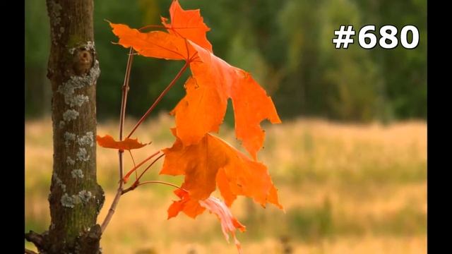 Лучшие места для отдыха смотреть онлайн