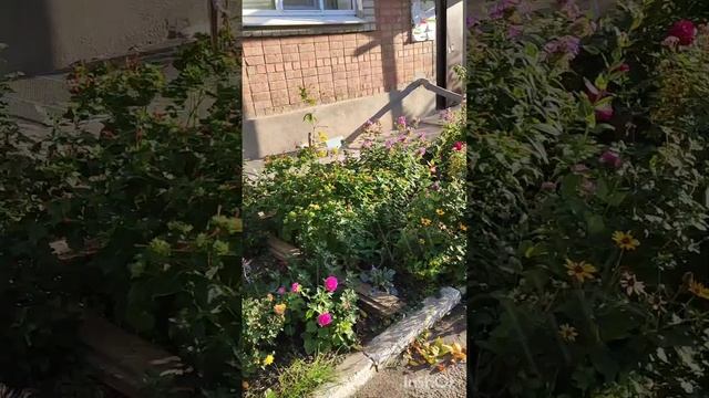 21.09.23 г. Ейск. смотреть онлайн